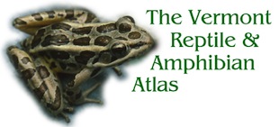 The Vermont Reptile & Amphibian Atlas