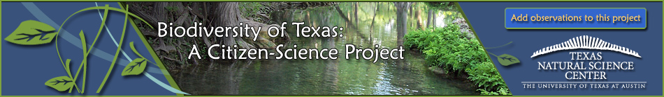 Biodiversity of Texas: A Citizen-Science Project